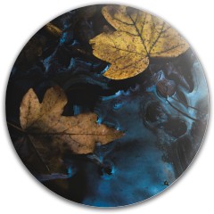 Design #64573 (Nature)