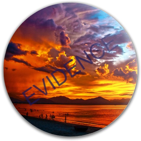Design 477786 Disc Golf and Ultimate Discs
