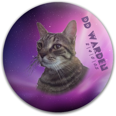 Design 480690 Disc Golf and Ultimate Discs