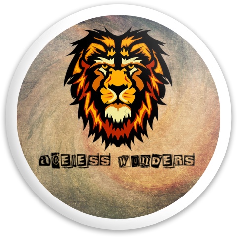 Design 484070 Disc Golf and Ultimate Discs
