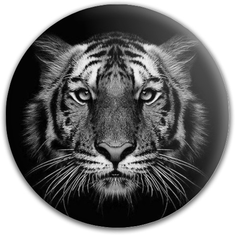 Design 485502 Disc Golf and Ultimate Discs