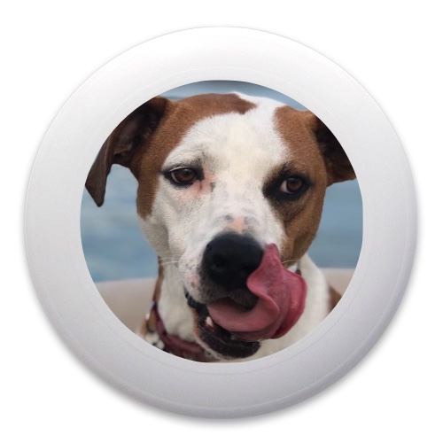 Design 485977 Disc Golf and Ultimate Discs