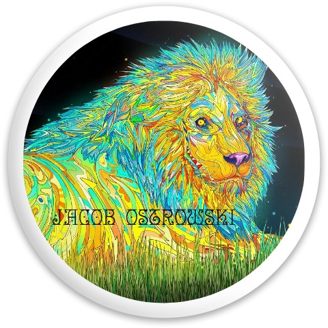 Design 486161 Disc Golf and Ultimate Discs