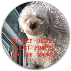 Pood poop