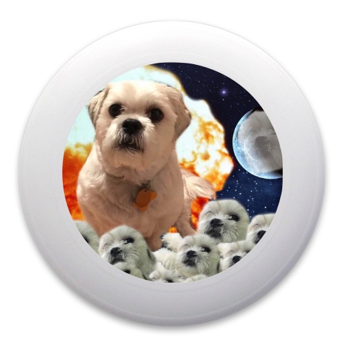Design 486592 Disc Golf and Ultimate Discs