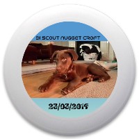 Scout