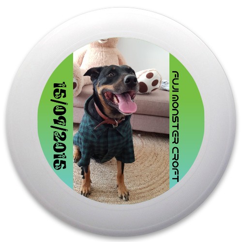 Design 489901 Disc Golf and Ultimate Discs