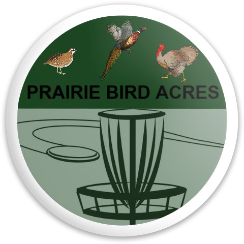 Design 490889 Disc Golf and Ultimate Discs
