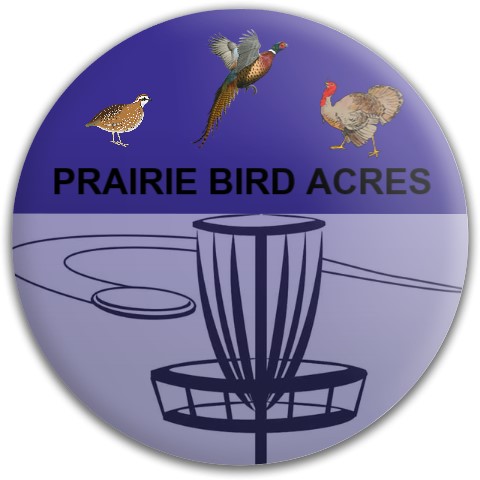 Design 490890 Disc Golf and Ultimate Discs