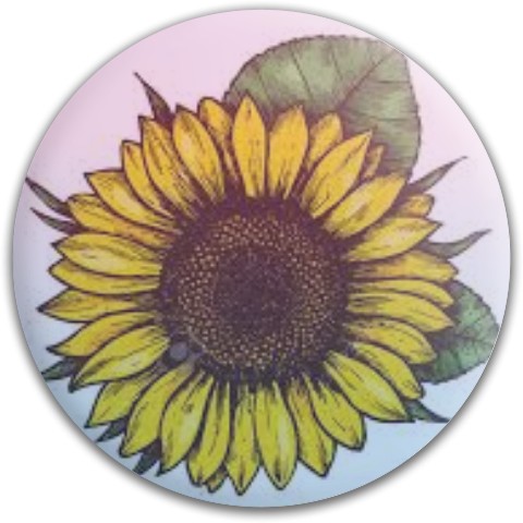 Design 491069 Disc Golf and Ultimate Discs