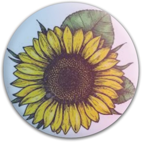 Design 491070 Disc Golf and Ultimate Discs