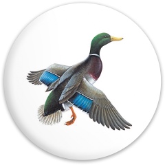 Mallard Disc Golf and Ultimate Discs Image
