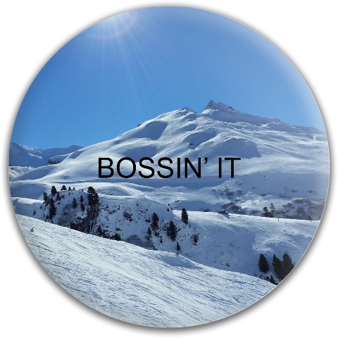 Design 491401 Disc Golf and Ultimate Discs