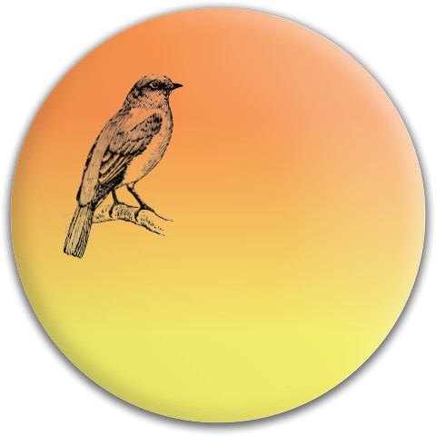 Design 492306 Disc Golf and Ultimate Discs
