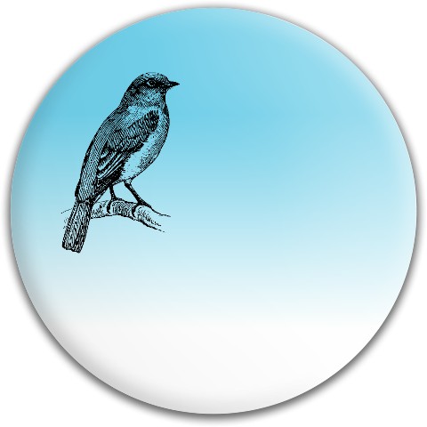 Design 492307 Disc Golf and Ultimate Discs
