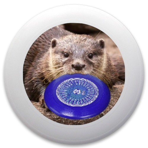 Design 494955 Disc Golf and Ultimate Discs