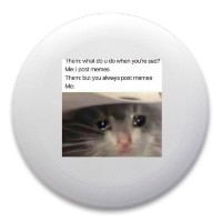 Sad cat