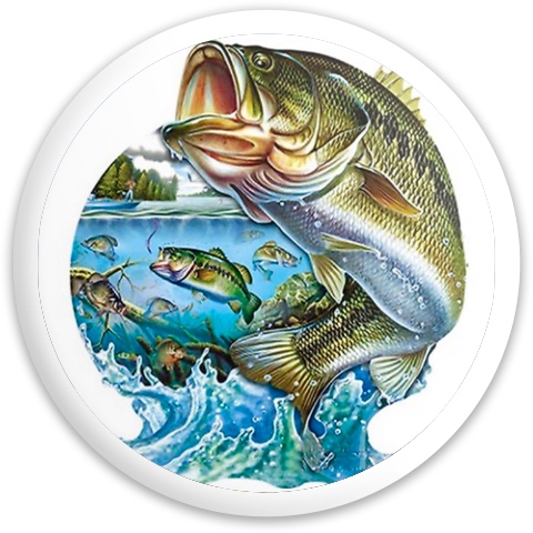 Design 496062 Disc Golf and Ultimate Discs