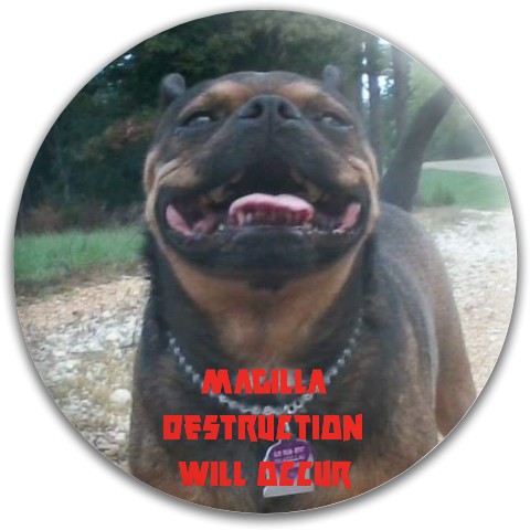 Design 496730 Disc Golf and Ultimate Discs