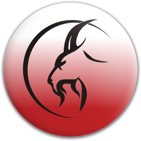 Design 498897 Disc Golf and Ultimate Discs