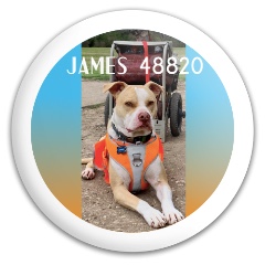 James