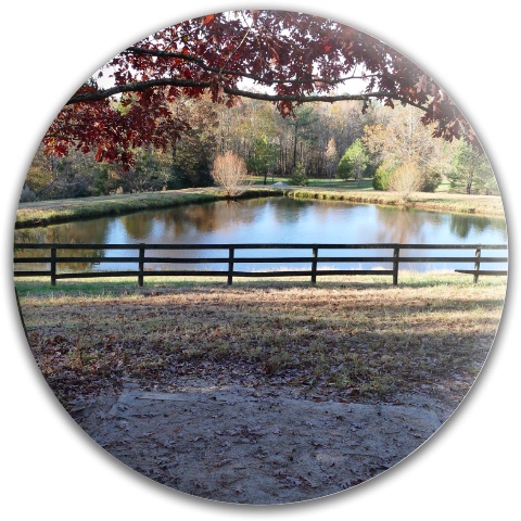 Design 500484 Disc Golf and Ultimate Discs