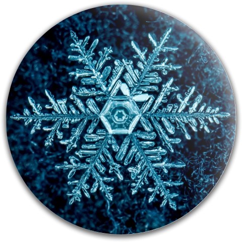 Design 500608 Disc Golf and Ultimate Discs