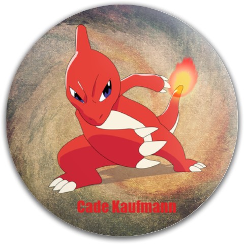 Design 502005 Disc Golf and Ultimate Discs