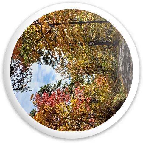 Design 502177 Disc Golf and Ultimate Discs