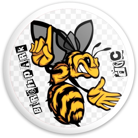 Design 505976 Disc Golf and Ultimate Discs