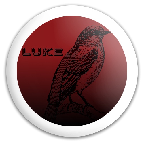 Design 505998 Disc Golf and Ultimate Discs