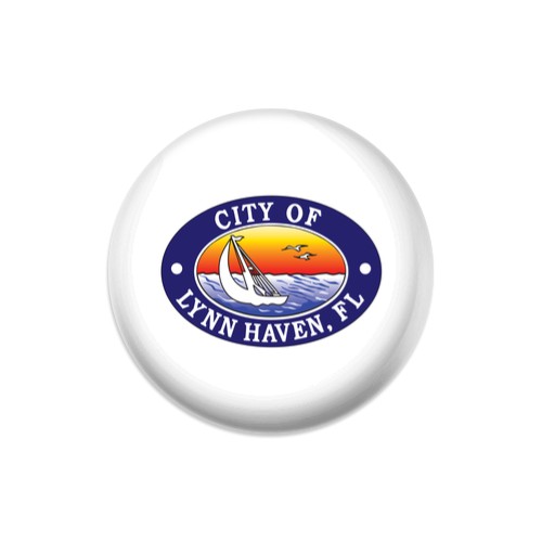 Design 506452 Disc Golf and Ultimate Discs