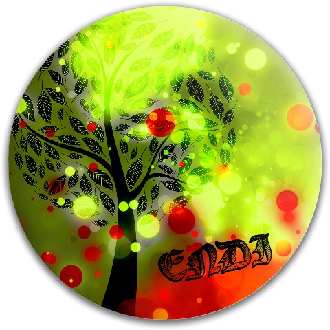 Design 509070 Disc Golf and Ultimate Discs