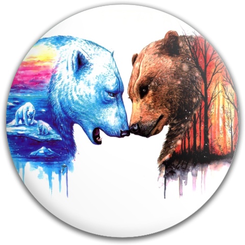 Design 510937 Disc Golf and Ultimate Discs