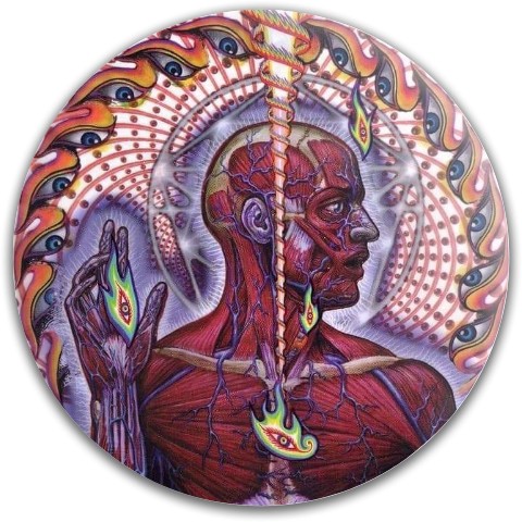 Design 521123 Disc Golf and Ultimate Discs