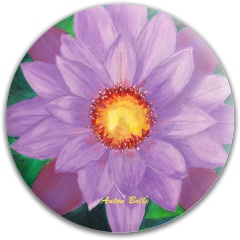 Design 522062 Disc Golf and Ultimate Discs Image