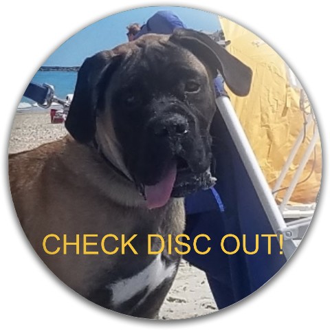 Design 523152 Disc Golf and Ultimate Discs