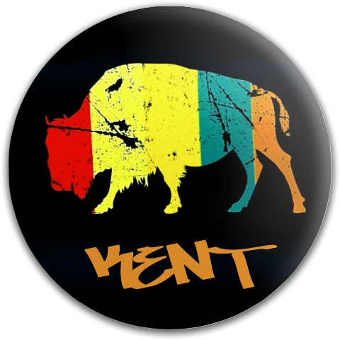 Design 523520 Disc Golf and Ultimate Discs