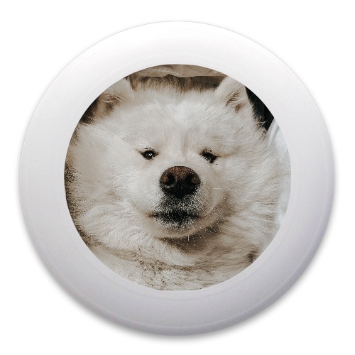 Design 523881 Disc Golf and Ultimate Discs