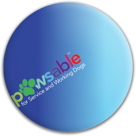 Design 526443 Disc Golf and Ultimate Discs