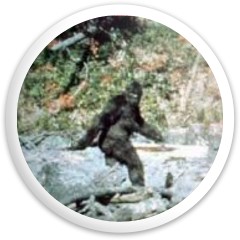 BigFoot