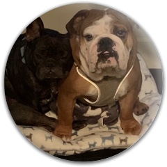 My Boys
