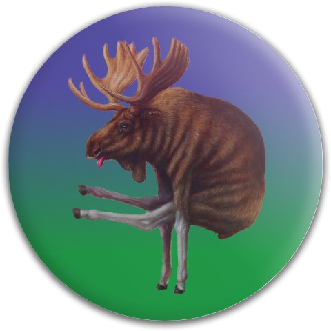 Design 531304 Disc Golf and Ultimate Discs