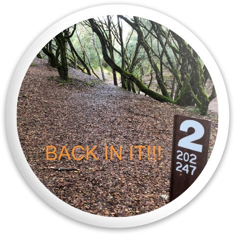 Design 531880 Disc Golf and Ultimate Discs