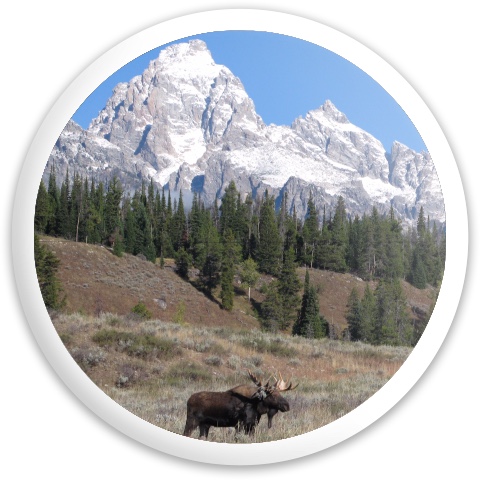Design 532230 Disc Golf and Ultimate Discs