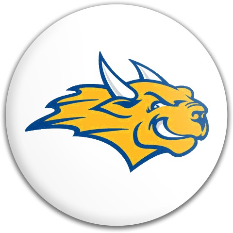 Design 532551 Disc Golf and Ultimate Discs