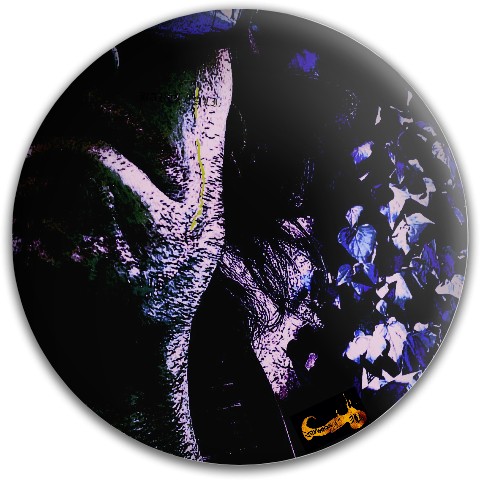 Design 536417 Disc Golf and Ultimate Discs