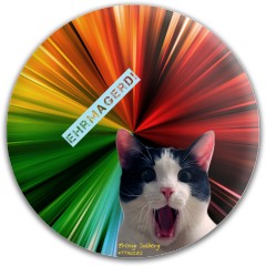 Design 536559