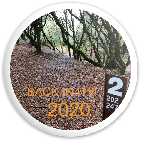 Design 536700 Disc Golf and Ultimate Discs