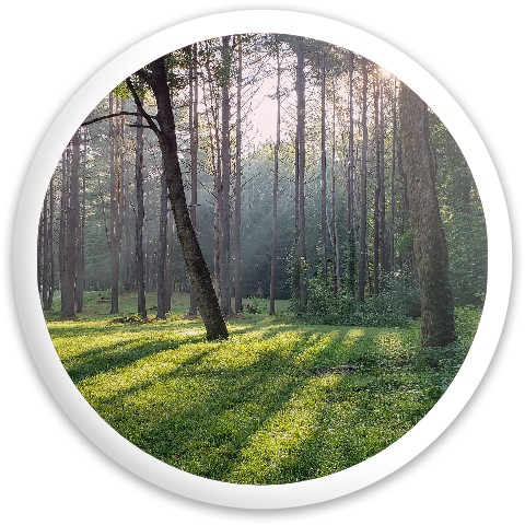 Design 540028 Disc Golf and Ultimate Discs